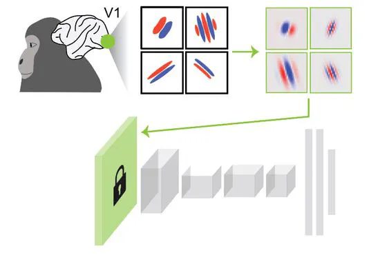 Hard-wired visual filters for environment-agnostic object recognition