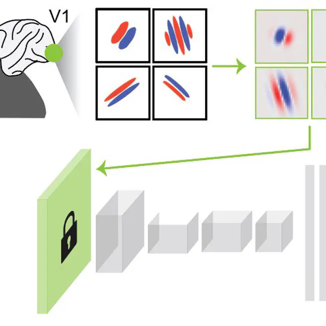 Hard-wired visual filters for environment-agnostic object recognition