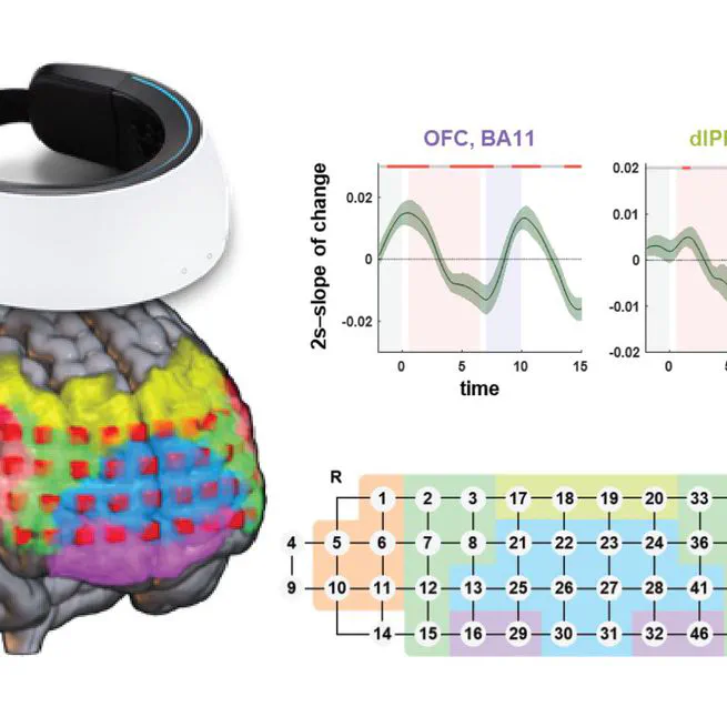 Wearable functional near-infrared spectroscopy for measuring dissociable activation dynamics of prefrontal cortex subregions during working memory