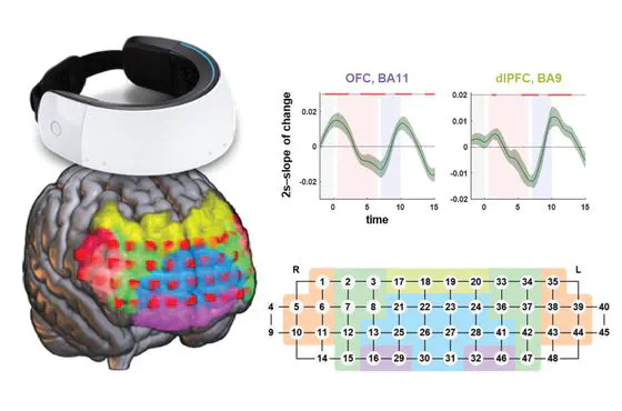 Wearable functional near-infrared spectroscopy for measuring dissociable activation dynamics of prefrontal cortex subregions during working memory